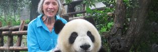 Panda Tours